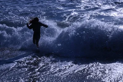 DSC_0454 (Large).JPG